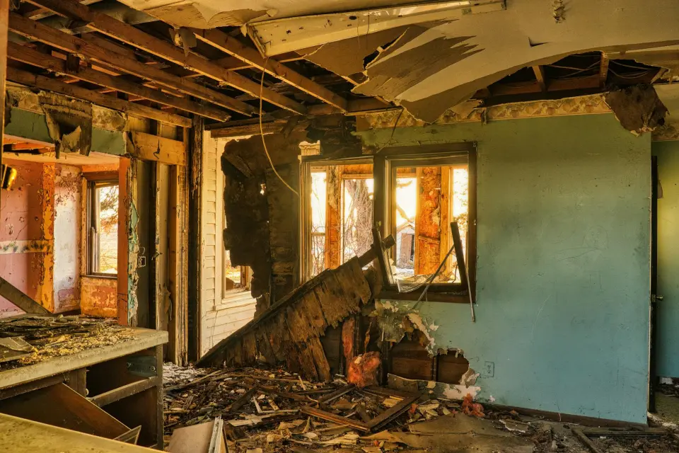 Houston's Leading Mold Removal & Remediation Company — Houston, TX